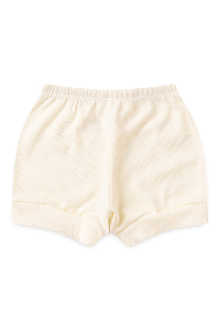 shorts fralda